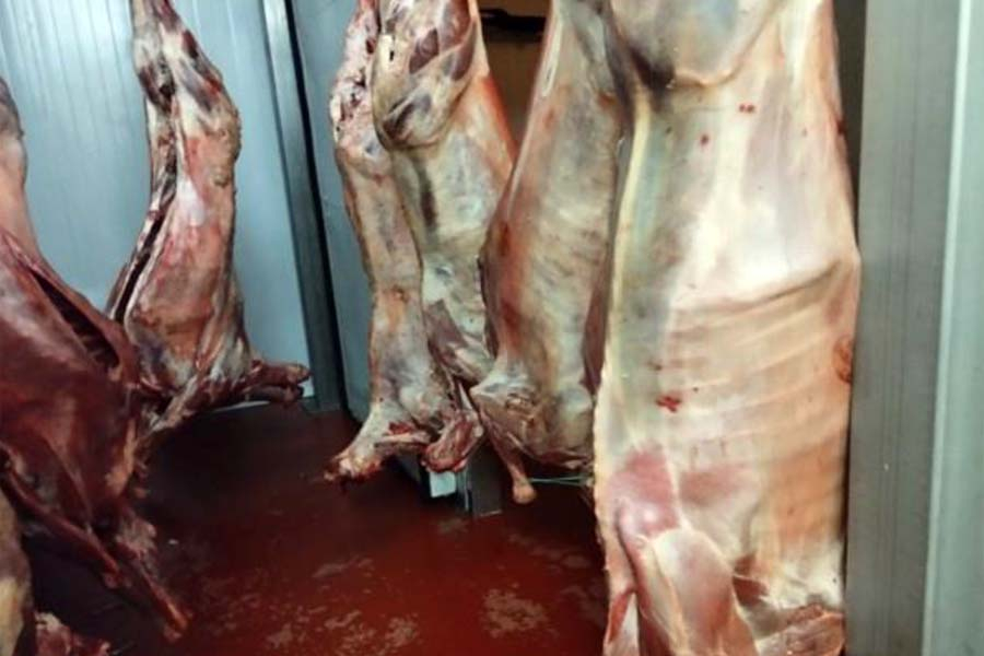 Batalha e Caldas da Rainha: ASAE apreende 4.260 Kg de carne imprópria para consumo